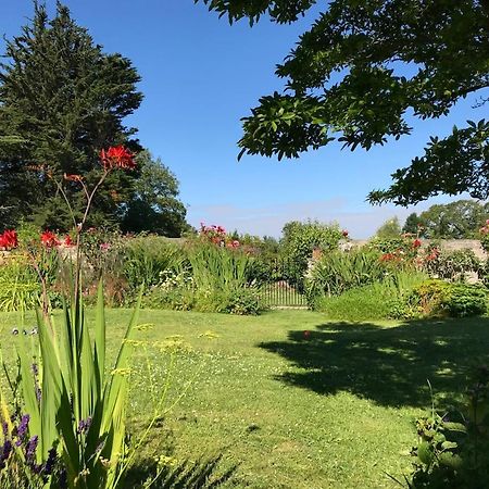 The Potting Shed, Self Contained, Detached Retreat In Shapwick Village Eksteriør billede