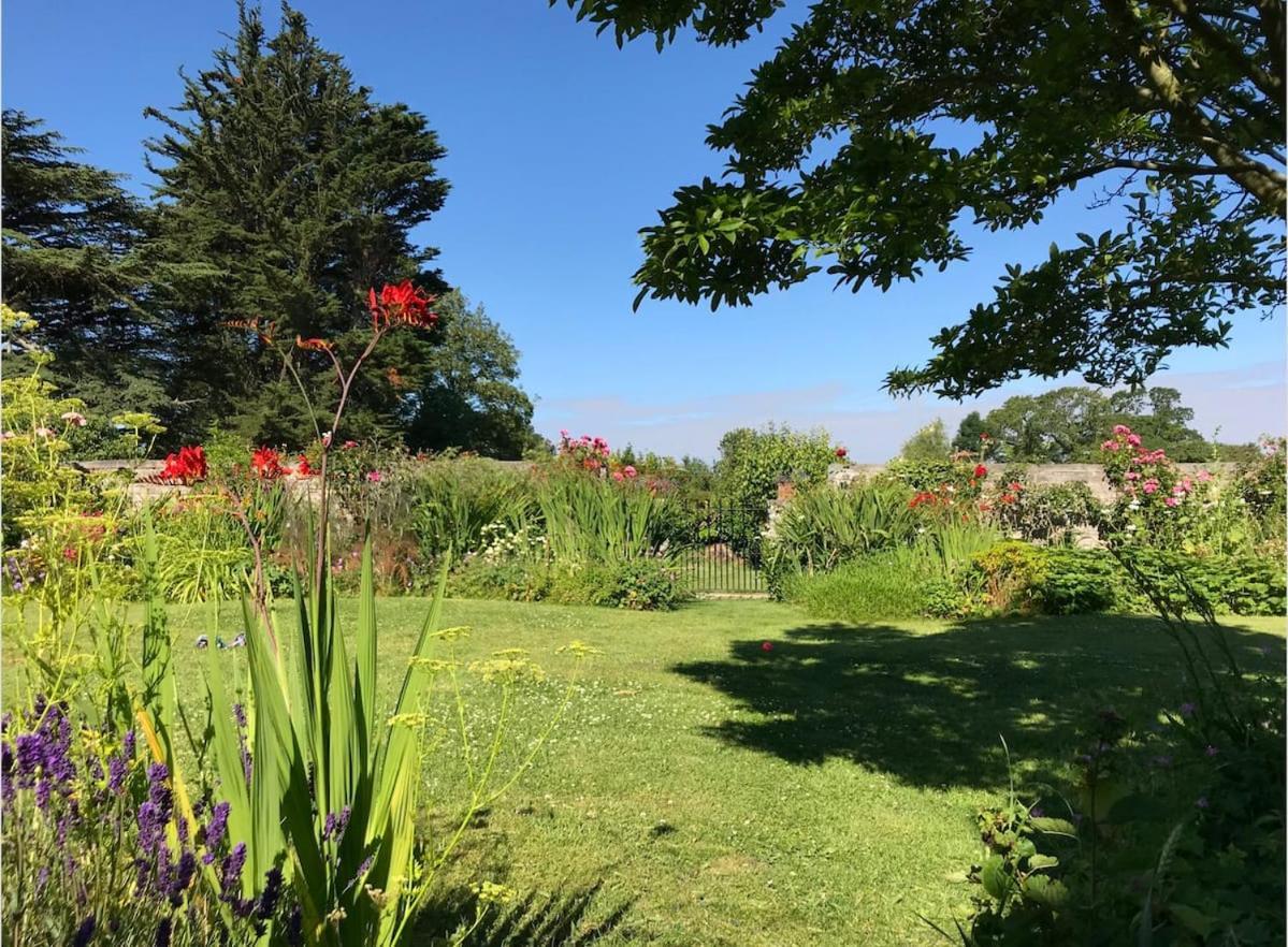 The Potting Shed, Self Contained, Detached Retreat In Shapwick Village Eksteriør billede