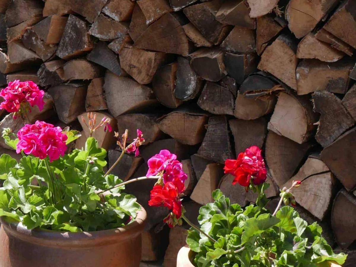 The Potting Shed, Self Contained, Detached Retreat In Shapwick Village Eksteriør billede